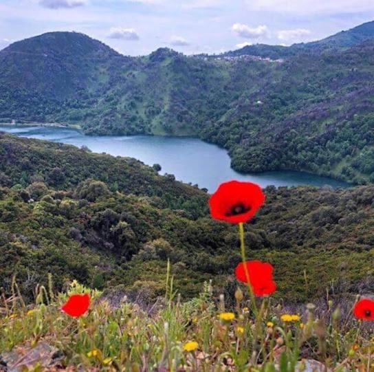 La Source 8 Ou 6 Couchages Villa Valle d'Alesani Eksteriør bilde